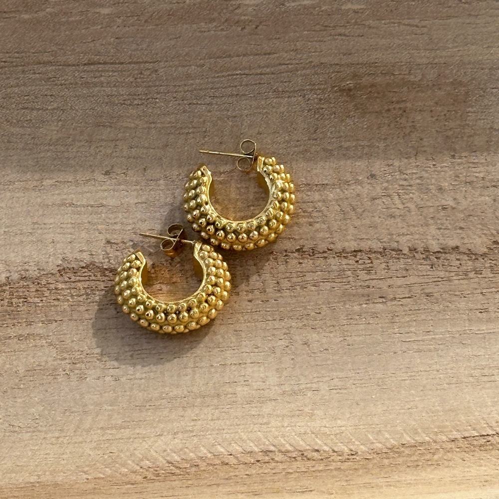 Oceana Gold Studded Earrings